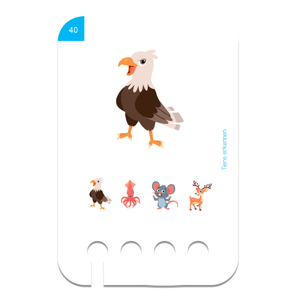 Kölner Lernspielverlag - Tiere erkennen 2+ - Little Baby Pocket