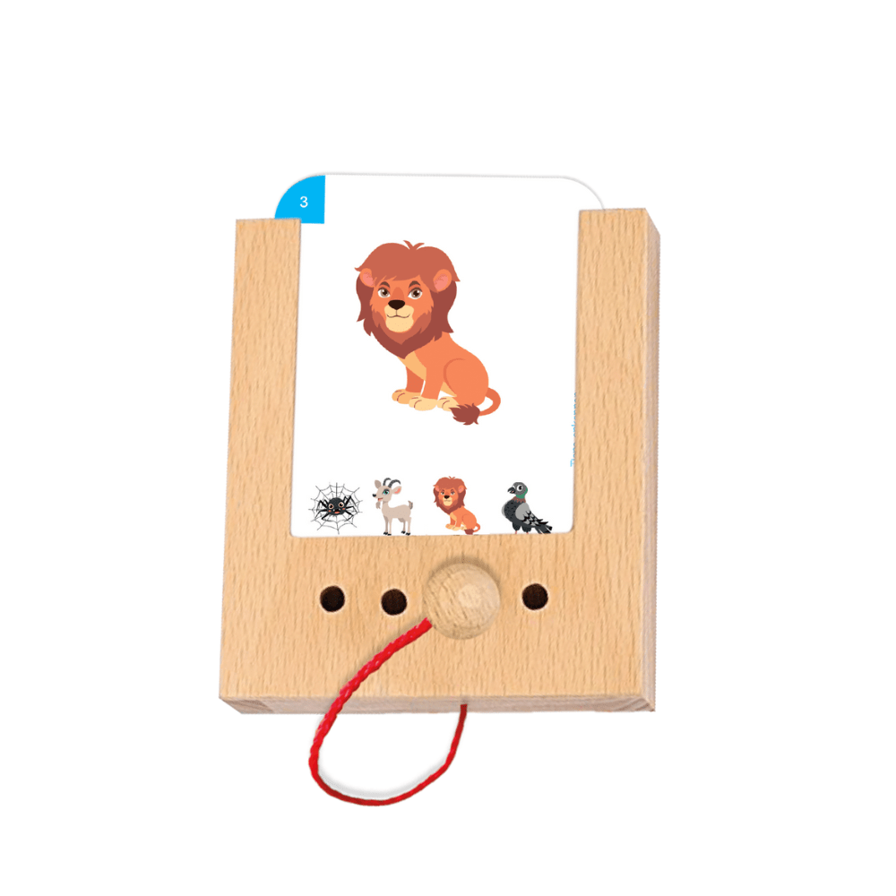 Kölner Lernspielverlag - Tiere erkennen 2+ - Little Baby Pocket