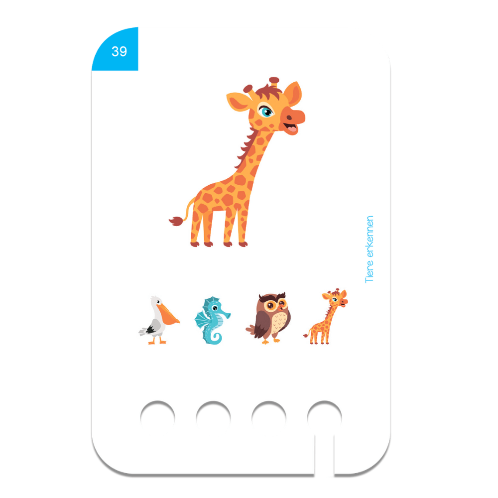 Kölner Lernspielverlag - Tiere erkennen 2+ - Little Baby Pocket