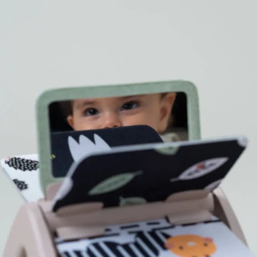 Kontrastbuch Black & White - Little Baby Pocket