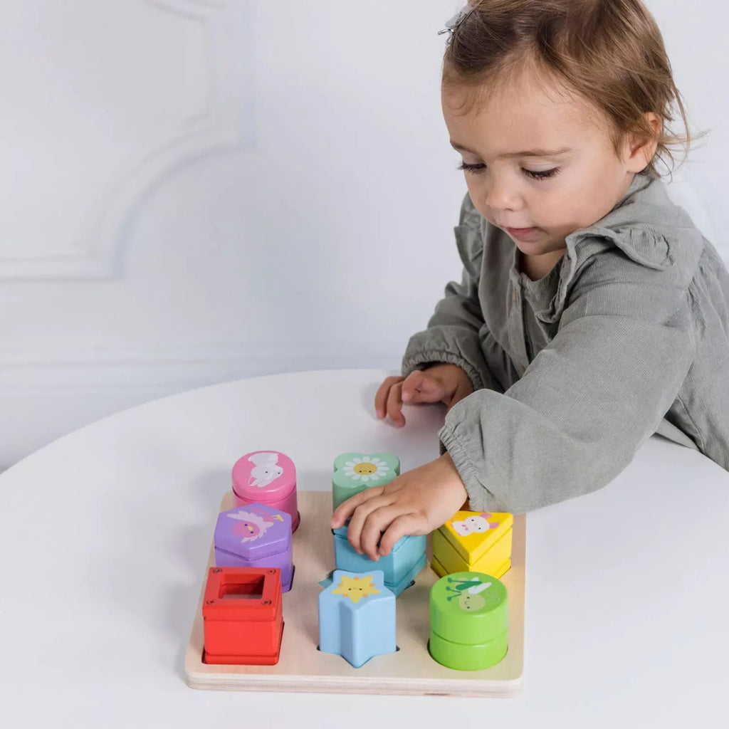 Petilou Sensorische Formen Sorter – Farben & Sinne entdecken - Little Baby Pocket