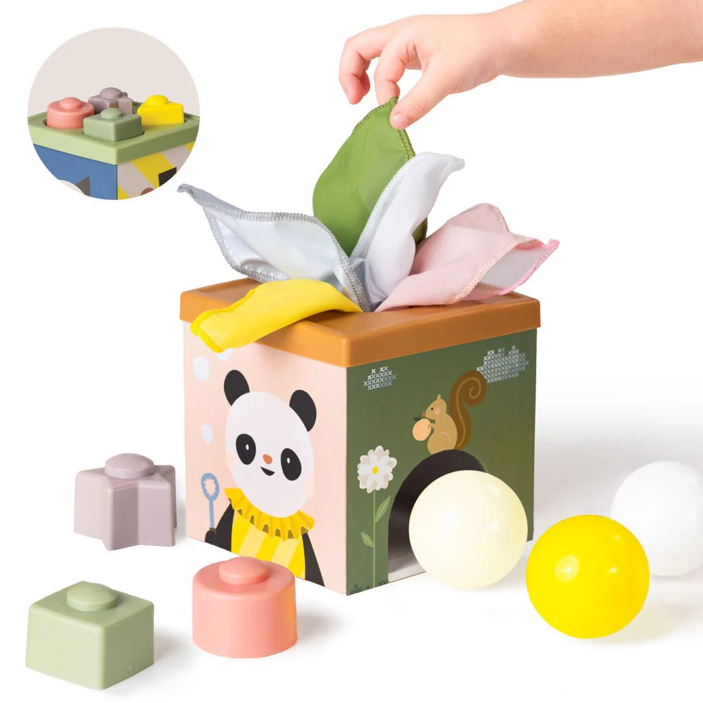 Taf Toys - Play & Discovery Spielwürfel
