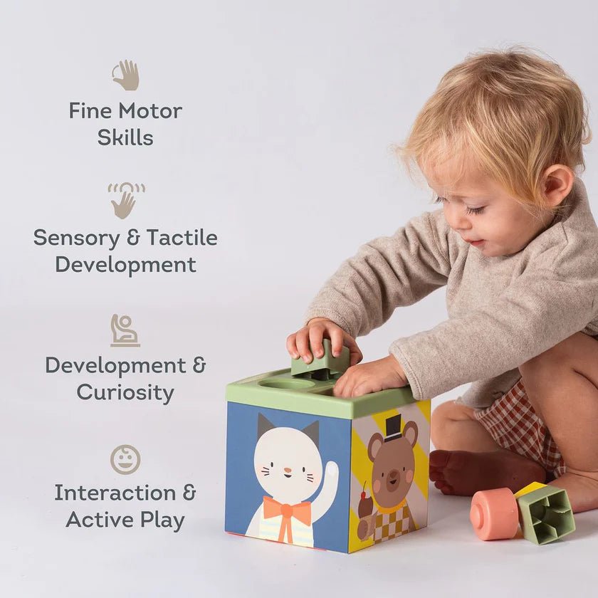 Taf Toys - Play & Discovery Spielwürfel