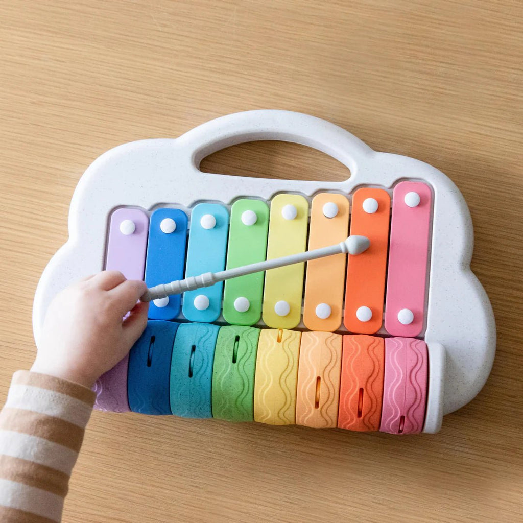 Rainbow Roller Xylophone - Little Baby Pocket