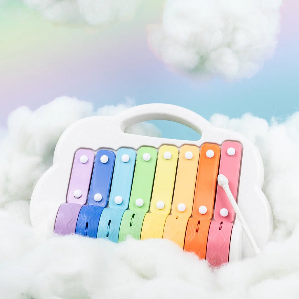 Rainbow Roller Xylophone - Little Baby Pocket