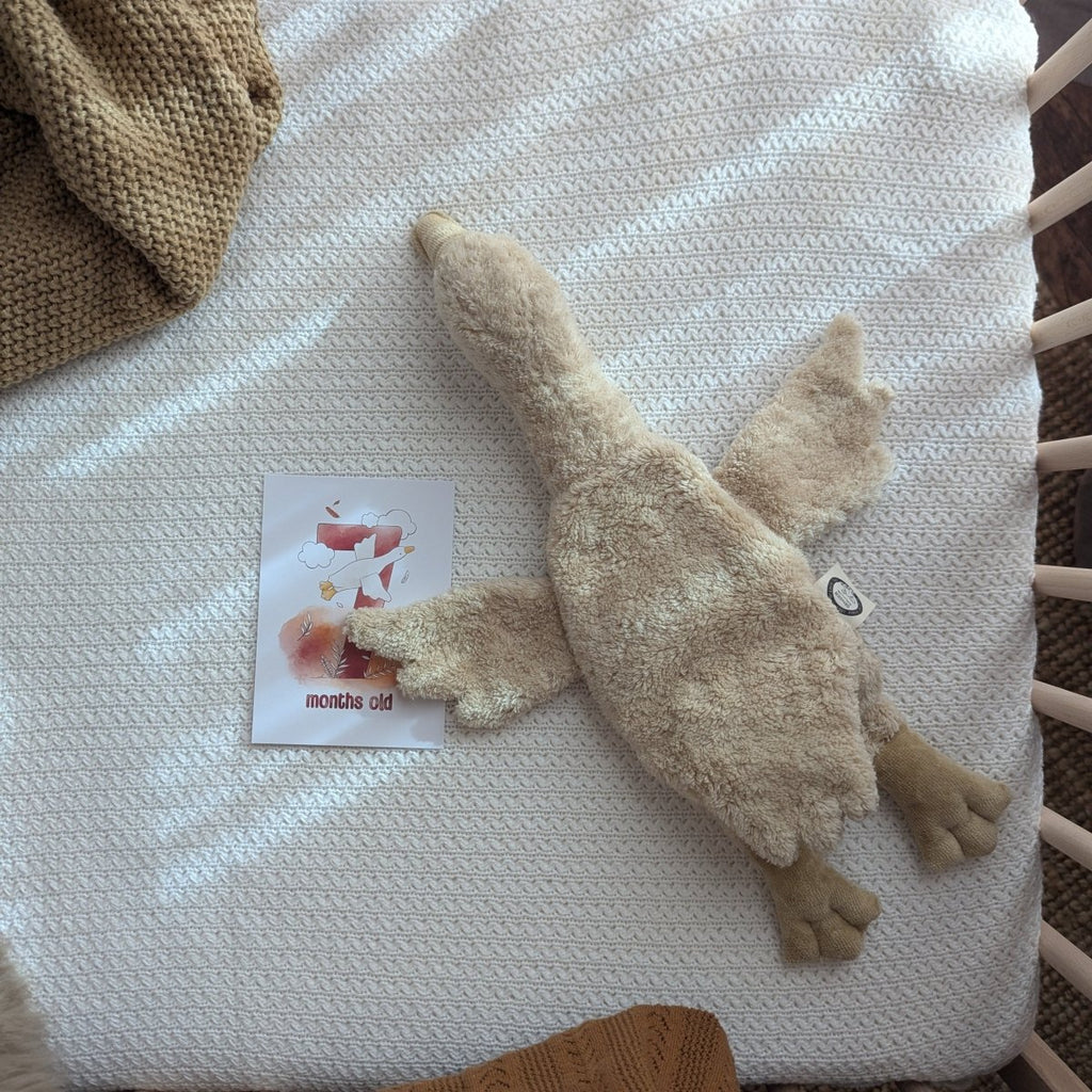Senger Naturwelt Kuscheltier - Gans klein - Little Baby Pocket