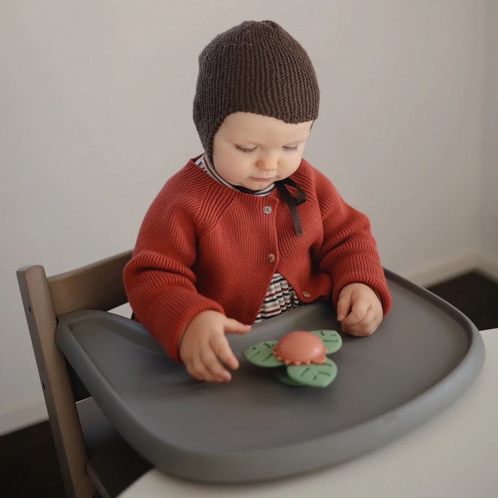 Sensorikspielzeug Spinner Dino - Little Baby Pocket