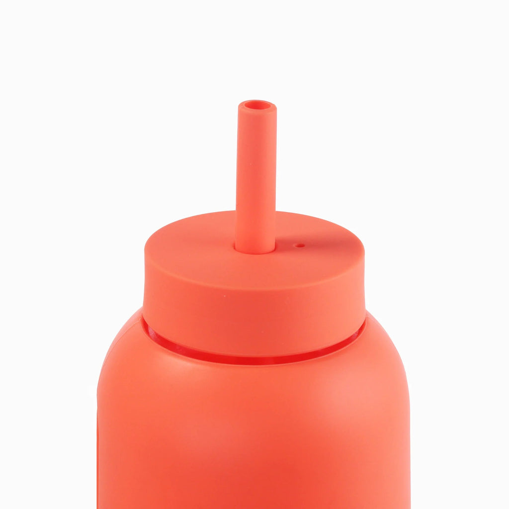 BINK - Strohhalm für BIG Bink Bottle 1 L