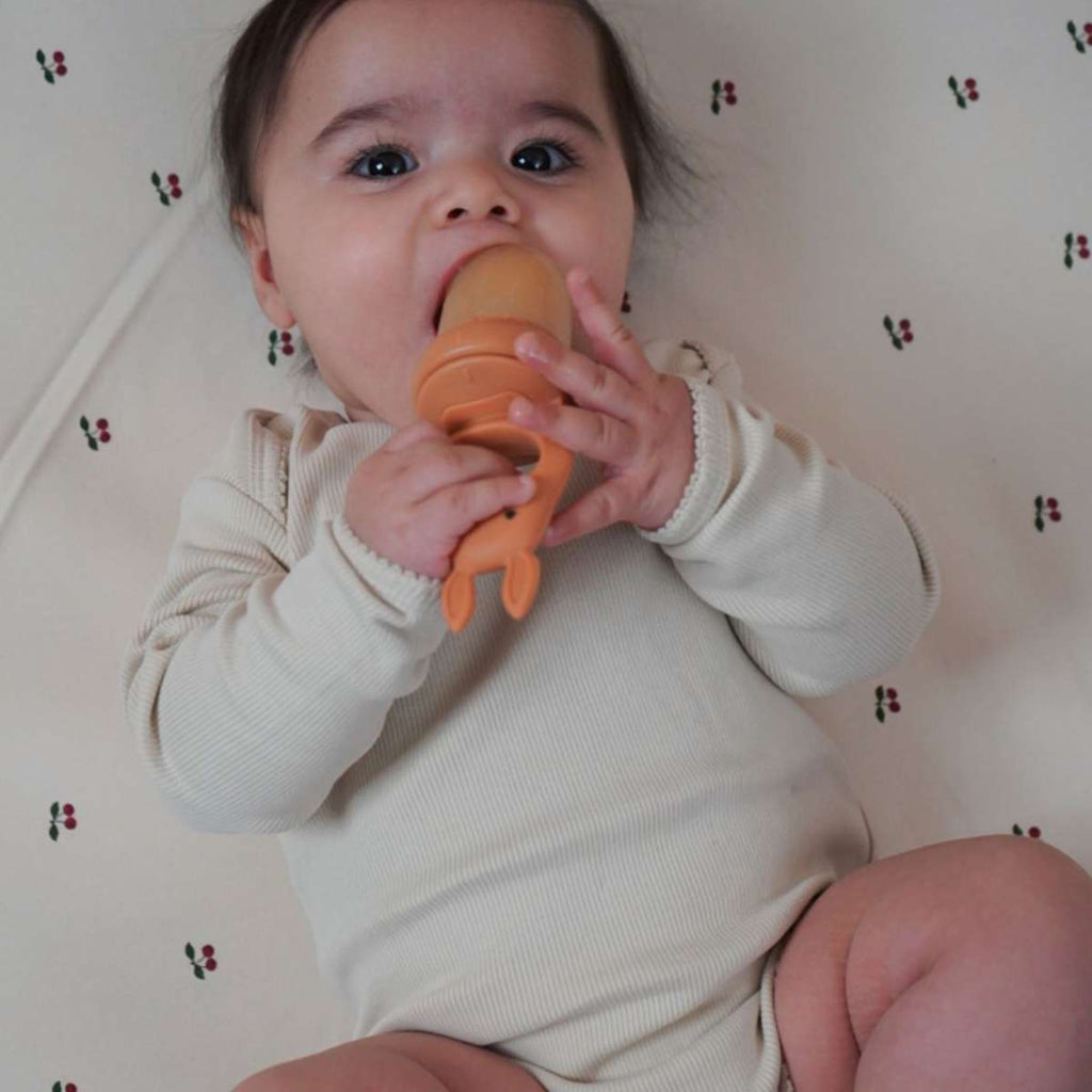 Obstschnuller - Fruchtsauger - Little Baby Pocket