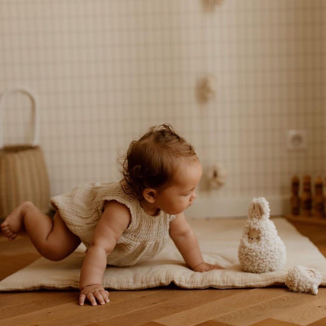 Roley Poley Rabbit Roly Poly Rabbit Rassel – Innovatives Babyspielzeug – Little Baby Pocket
