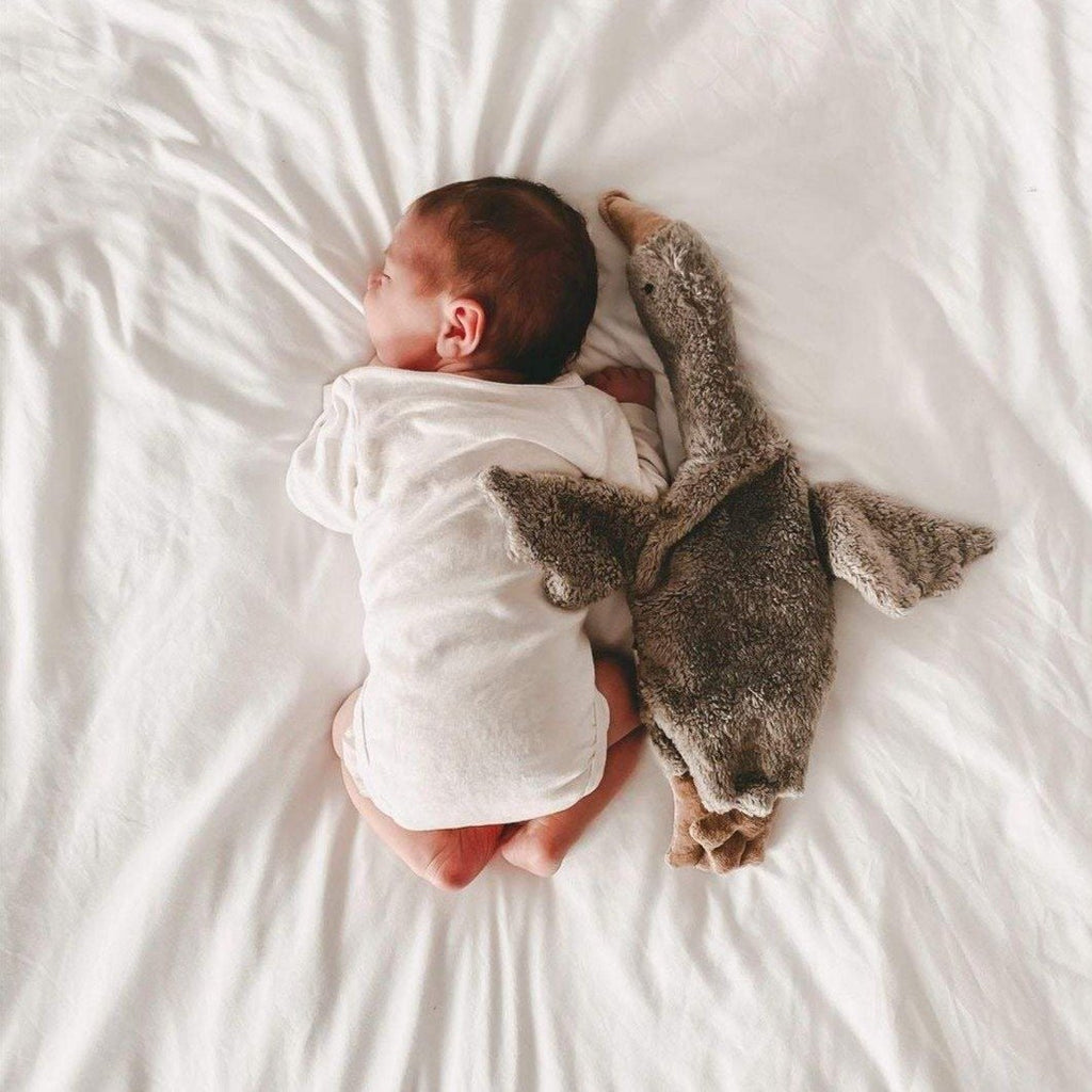 Senger Naturwelt Kuscheltier - Gans klein - Little Baby Pocket
